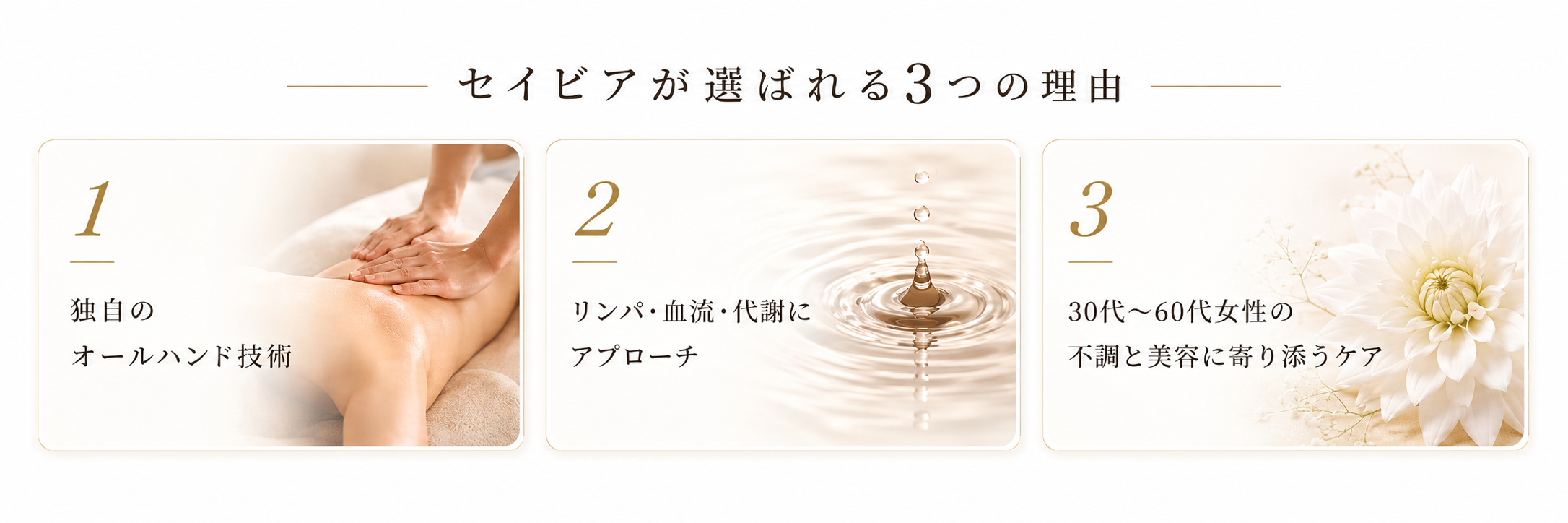 セイビアが選ばれる3つの理由